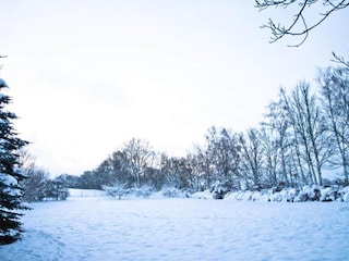 Holiday house Bergen im Vogtland Environment 30