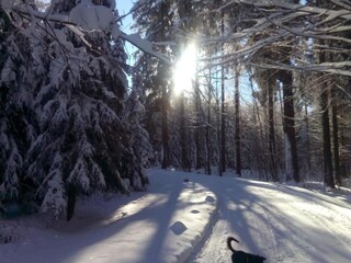 Casa per le vacanze Bergen im Vogtland Ambiente 22