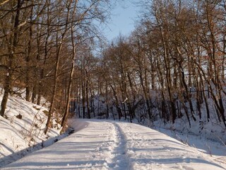 Maison de vacances Bergen im Vogtland Environnement 26