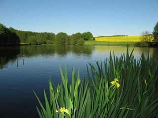Vakantiehuis Bergen im Vogtland Omgeving 28