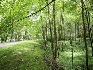 Holiday house Bergen im Vogtland Environment 30