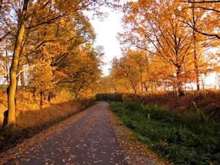 Ferienhaus Bergen im Vogtland Umgebung 26