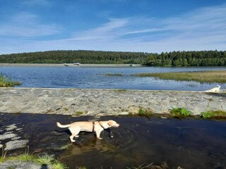 Maison de vacances Bergen im Vogtland Environnement 27