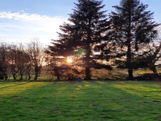 Maison de vacances Bad Elster Environnement 35