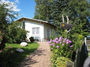 Idyllisches Ferienhaus mit 2 Ferienwohnungen, eingezäunte Terrasse im Vogtland/Bad Elster-Sohl - Bad Elster - image1