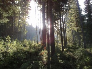 Apartment Bad Elster Environment 57