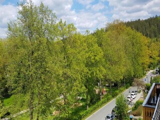 Apartment Bad Elster Umgebung 28