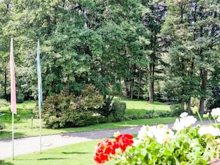 Apartamento Bad Elster Entorno 17