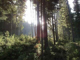 Appartement Bad Elster Omgeving 27