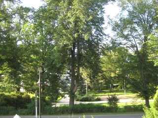 Apartment Bad Elster Umgebung 36