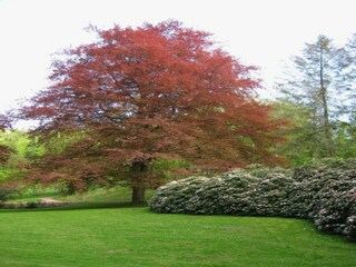 Apartamento Bad Elster Entorno 27