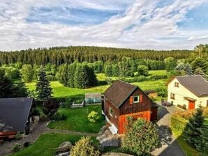 Ferienhaus Prachtvolle Ferienwohnung mit Terrasse in Sachsen - Bad Elster - image1