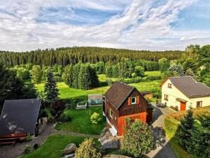 Ferienhaus Prachtvolle Ferienwohnung mit Terrasse in Sachsen - Bad Elster - image1