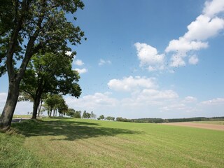 Maison de vacances Crottendorf Environnement 23