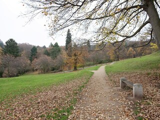 Apartment Pfaffroda Umgebung 29