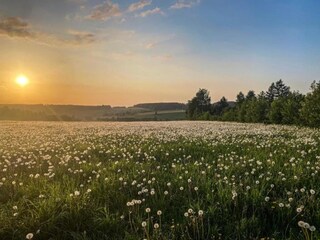 Appartement Pfaffroda Environnement 32