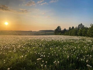 Appartamento Pfaffroda Ambiente 33