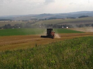 Casa de vacaciones Oederan Entorno 28