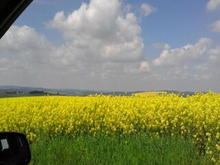 Maison de vacances Oederan Environnement 30