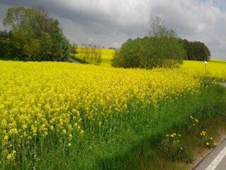 Casa per le vacanze Oederan Ambiente 34