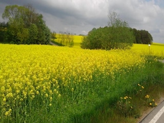 Vakantiehuis Oederan Omgeving 26