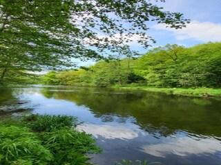 Ferienhaus Oederan Umgebung 39