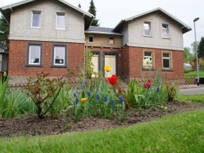 Holiday house Ferienhaus nahe Skigebiet - Rechenberg-Bienenmuehle - image1