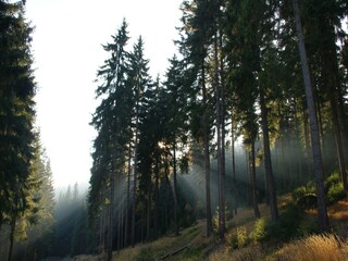 Casa per le vacanze Rechenberg-Bienenmühle Ambiente 21