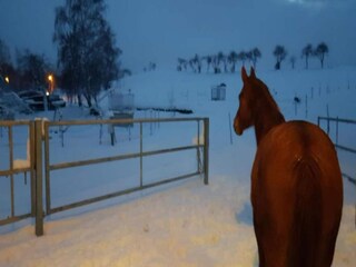 Casa per le vacanze Rechenberg-Bienenmühle Ambiente 30
