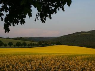 Ferienhaus Rechenberg-Bienenmühle Umgebung 30