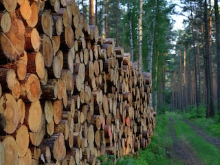 Ferienhaus Spreenhagen Umgebung 26