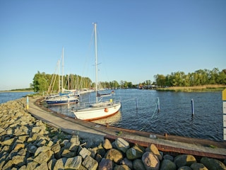 Maison de vacances Mönkebude Environnement 34