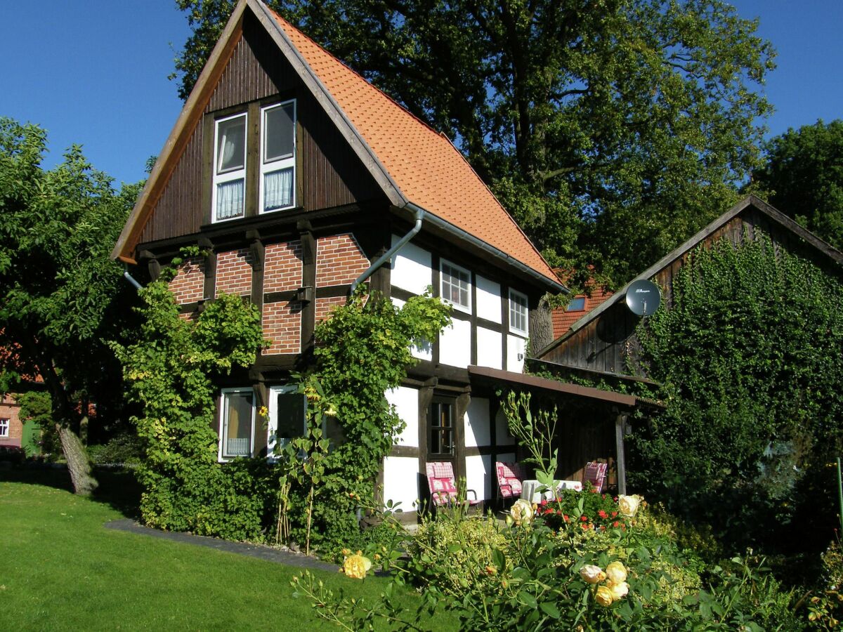 Holiday house Wienhausen Outdoor Recording 1