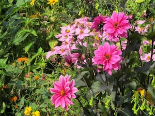 Boerderij Langlingen  34