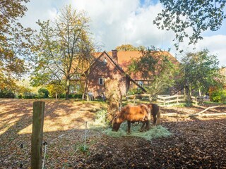 Bauernhof Langlingen Außenaufnahme 12