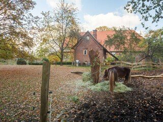 Farmhouse Langlingen Outdoor Recording 10