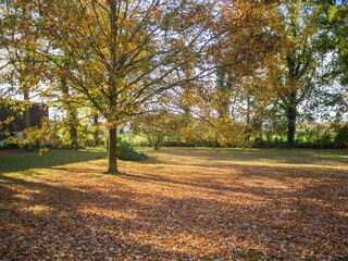 Boerderij Langlingen Buitenaudio-opname 12