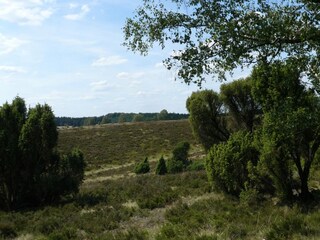Vakantiehuis Wietzendorf Omgeving 21