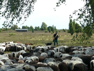 Vakantiehuis Wietzendorf Omgeving 22