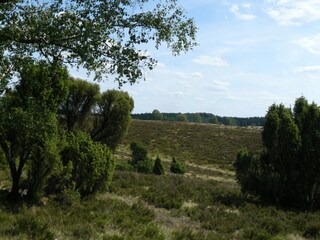 Vakantiehuis Wietzendorf Omgeving 26