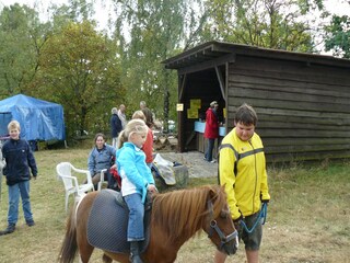 Ferienhaus Wietzendorf Umgebung 16