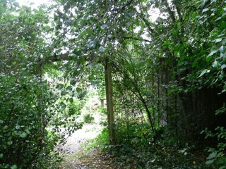 Maison de vacances Wietzendorf Environnement 18