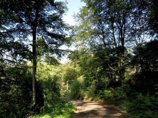 Apartment Bad Pyrmont Umgebung 32