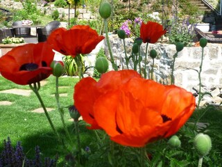 Appartement Bad Pyrmont  36