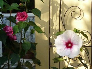 Apartamento Bad Pyrmont  35