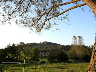 Apartment Bad Pyrmont Environment 32