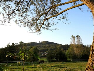 Appartement Bad Pyrmont Omgeving 31