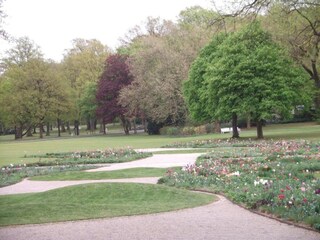 Appartamento Horn-Bad Meinberg Ambiente 33