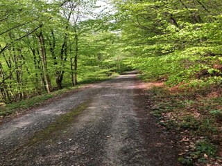 Appartamento Horn-Bad Meinberg Ambiente 38