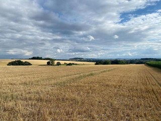 Appartement Horn-Bad Meinberg Omgeving 39